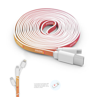 10 Foot Branded Triple Tip Cable