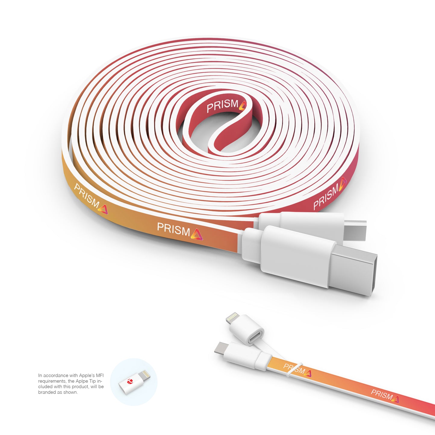 10 Foot Branded Twin Tip Cable