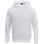 Mens DAYTON Fleece Hoody