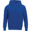 Mens DAYTON Fleece Hoody