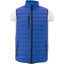 Mens Whistler Light Down Vest
