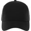 Unisex DOMINATE Ballcap